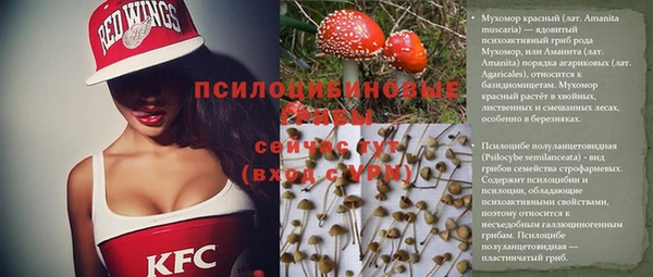 ECSTASY Алексеевка